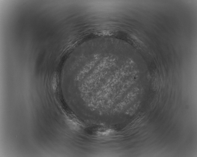 X0000063440747200602031741