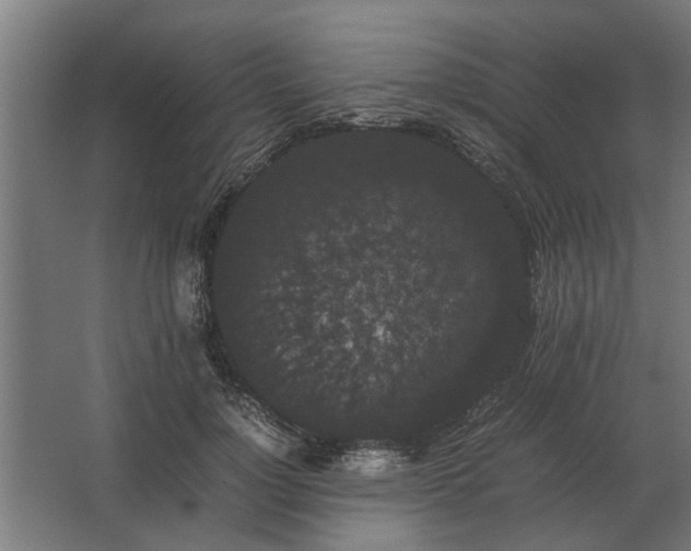 X0000063440748200602031741