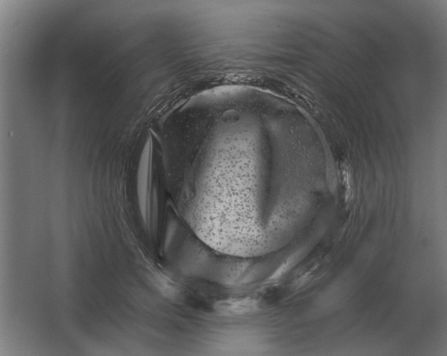 X0000063440750200602031741