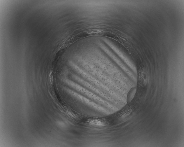 X0000063440751200602031741