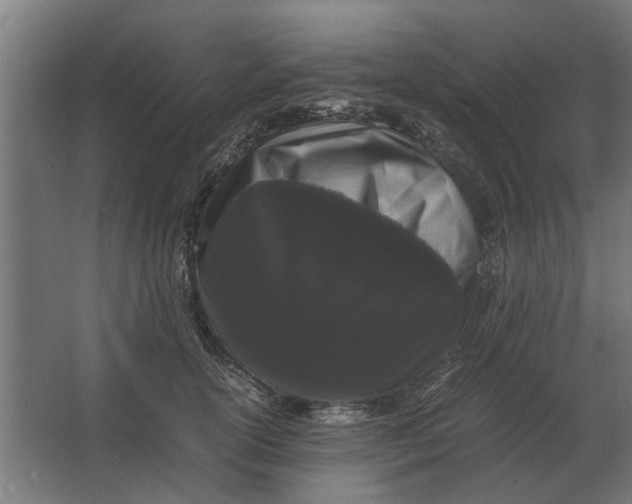X0000063440754200602031741