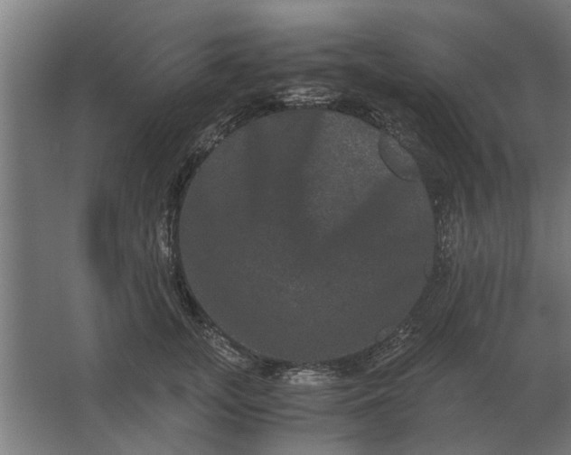 X0000063440755200602031741