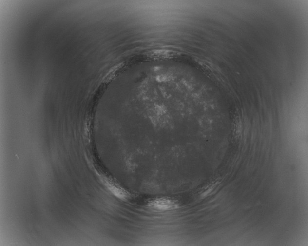 X0000063440759200602031741