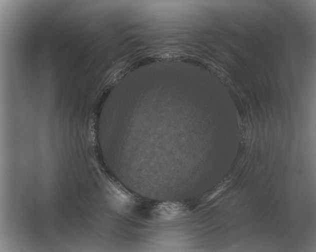 X0000063440762200602031741