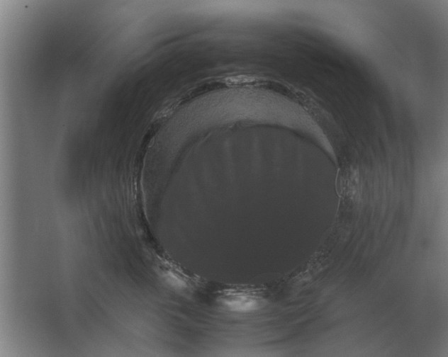 X0000063440763200602031741