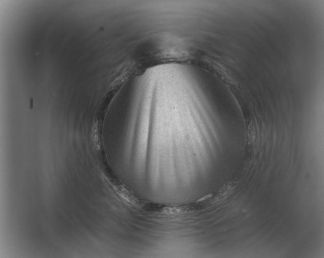 X0000063440764200602031741