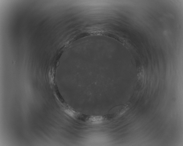 X0000063440767200602031741