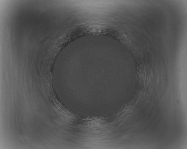 X0000063440769200602031740