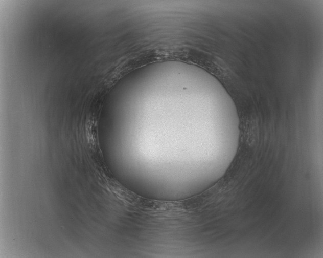 X0000063440770200602031740