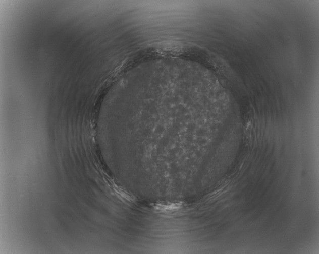 X0000063440772200602031740