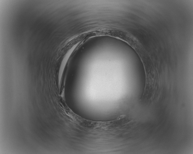 X0000063440773200602031740