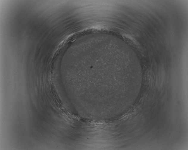 X0000063440776200602031740