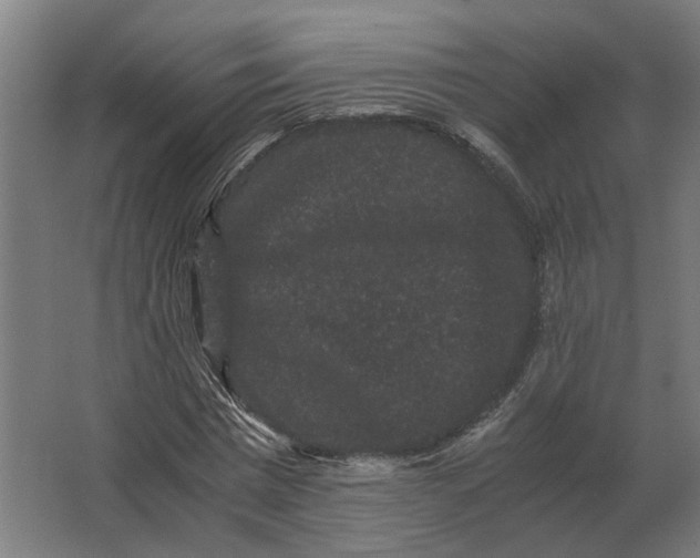 X0000063440777200602031740