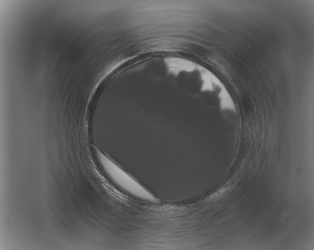 X0000063440779200602031740