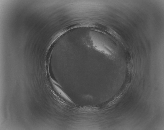 X0000063440781200602031740