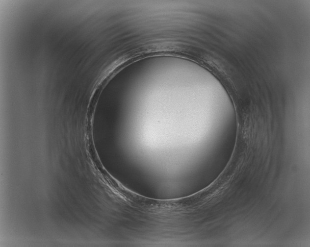 X0000063440786200602031740