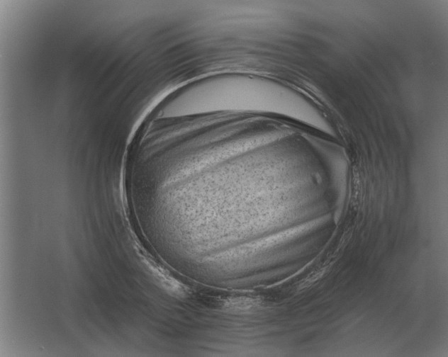 X0000063440788200602031740