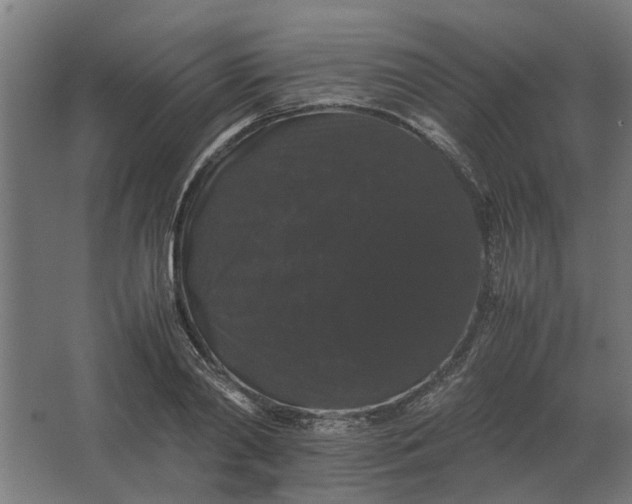 X0000063440790200602031740