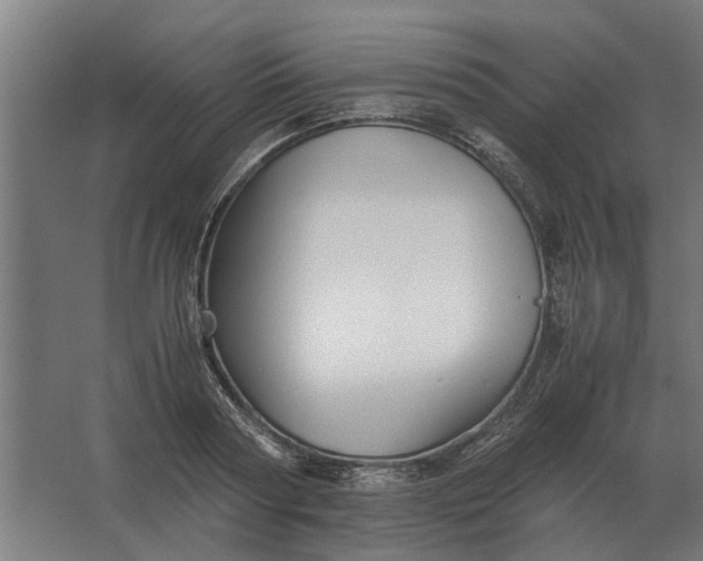 X0000063440794200602031740