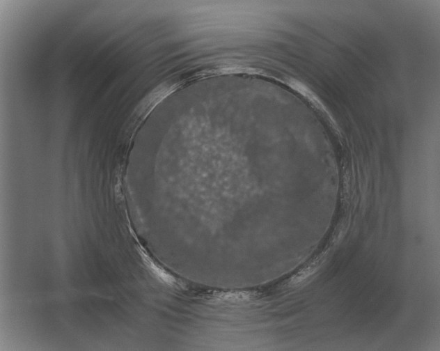 X0000063440801200602031740