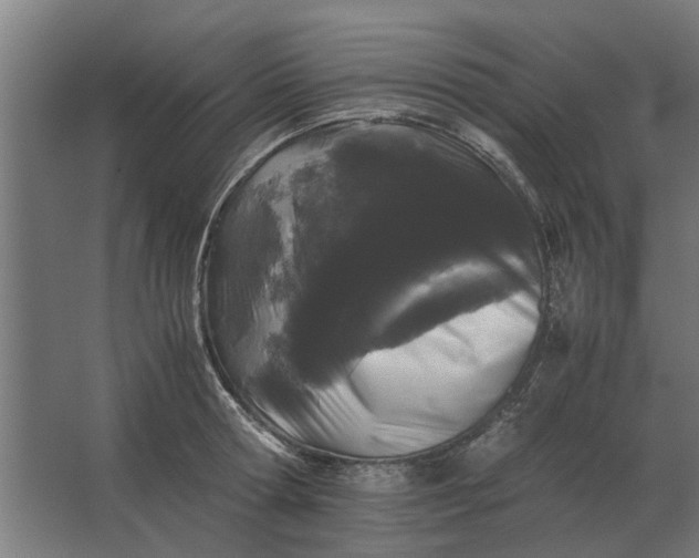 X0000063440802200602031740