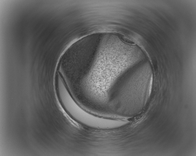 X0000063440803200602031740