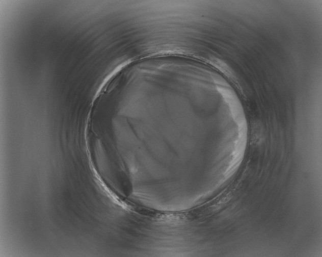 X0000063440806200602031740