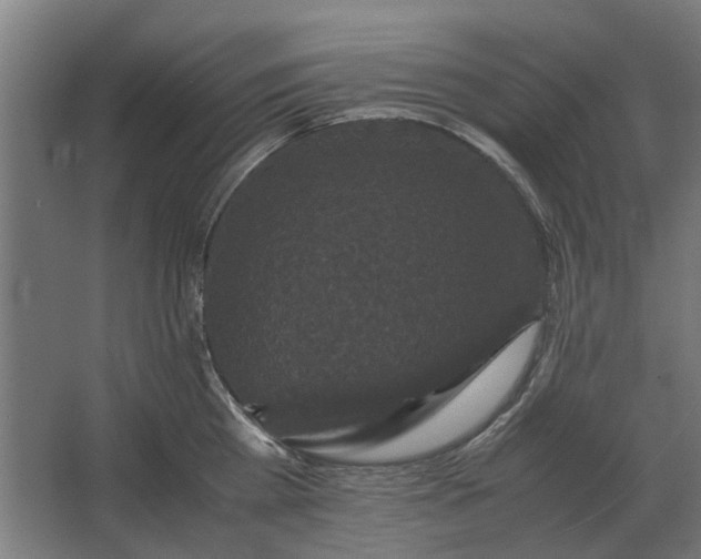 X0000063440809200602031740