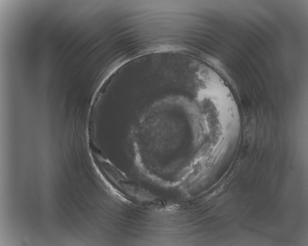 X0000063440810200602031740
