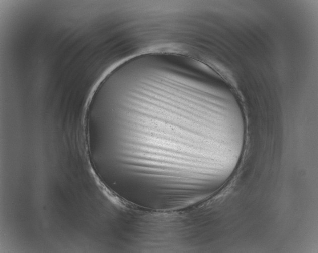 X0000063440816200602031740