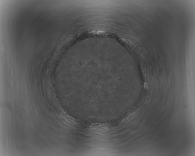 X0000063440817200602031739