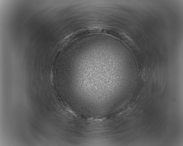 X0000063440821200602031739