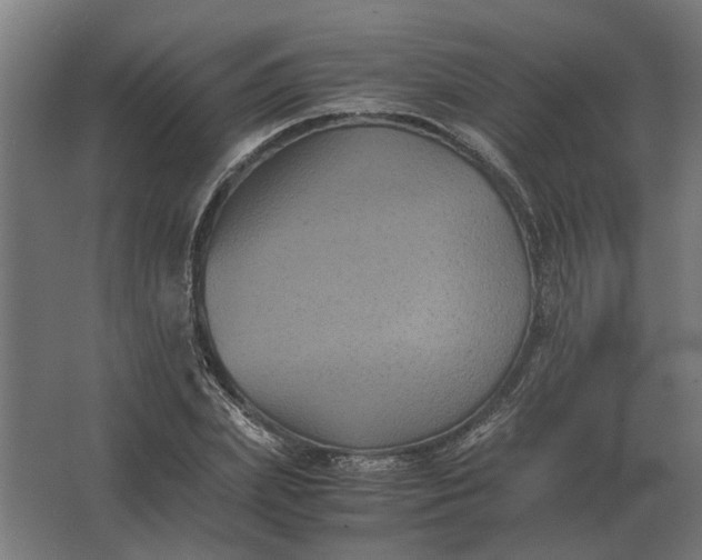 X0000063440831200602031739