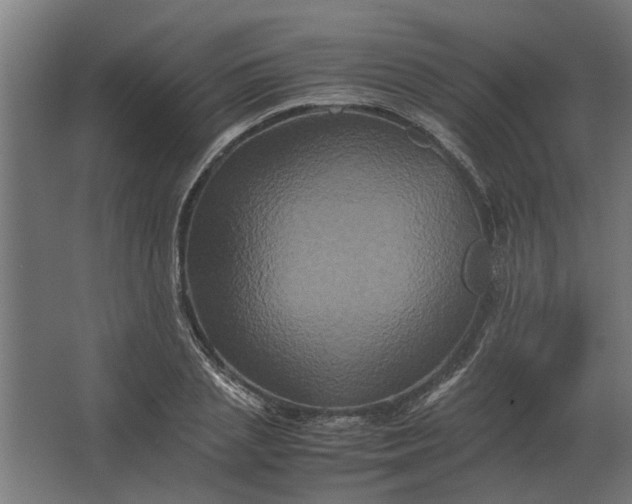 X0000063440837200602031739