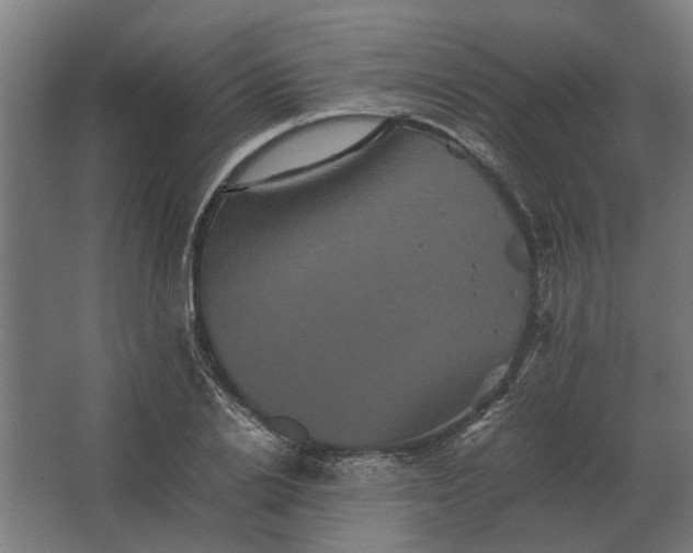 X0000063440838200602031739