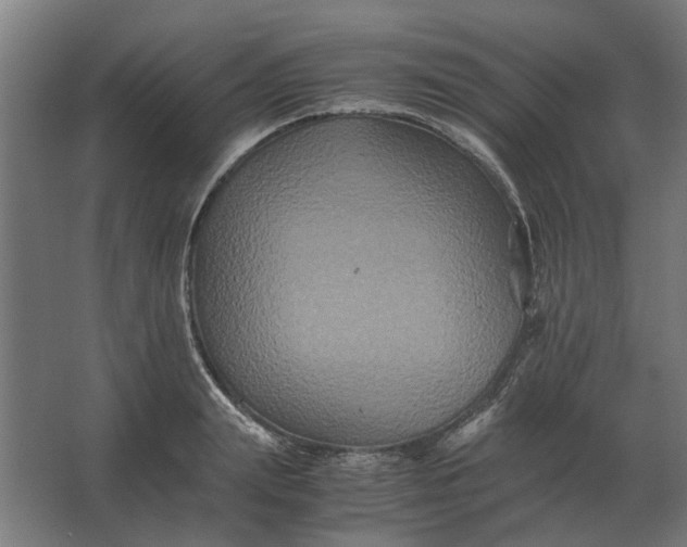 X0000063440847200602031739