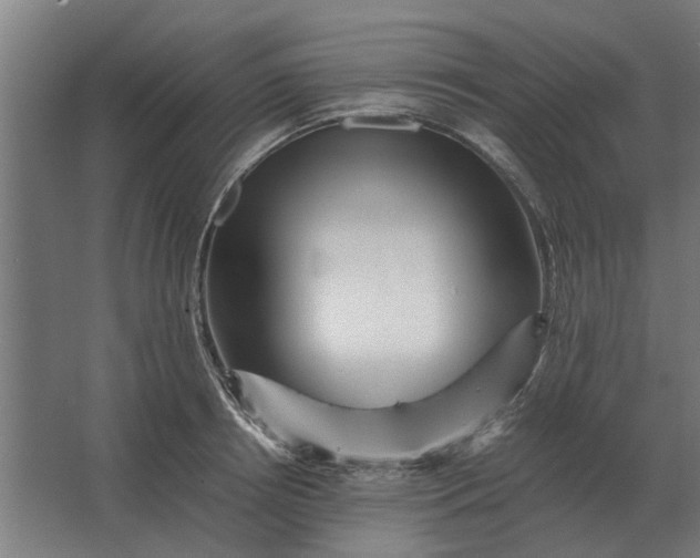 X0000063440850200602031739