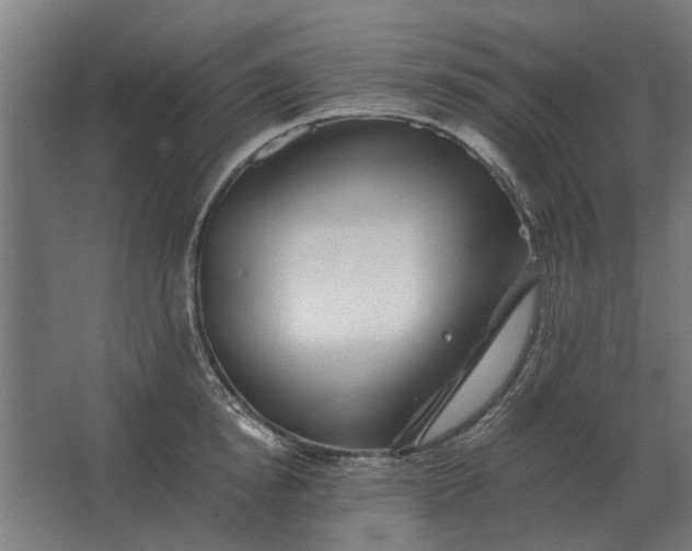 X0000063440854200602031739