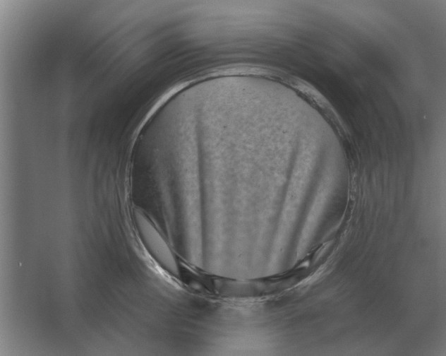 X0000063440860200602031739