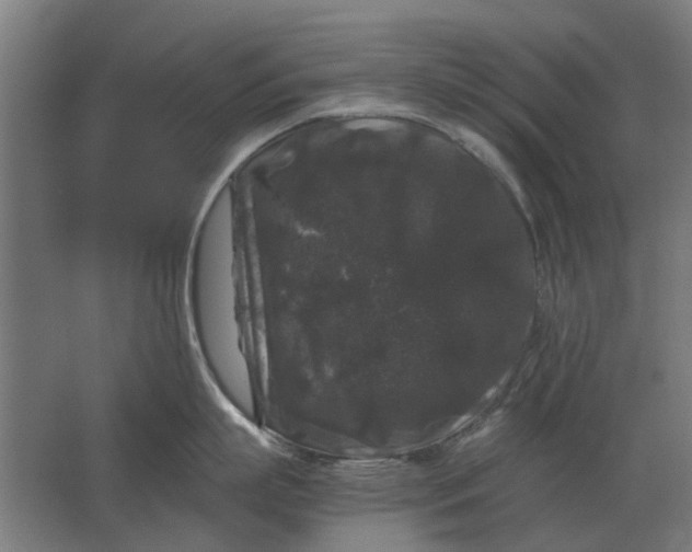 X0000063440863200602031739