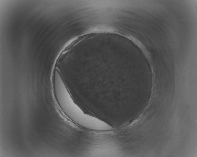 X0000063440864200602031740