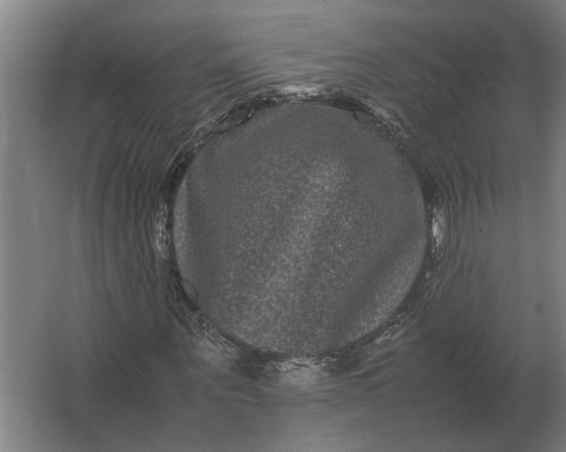 X0000063440867200602031739