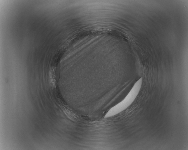 X0000063440868200602031739