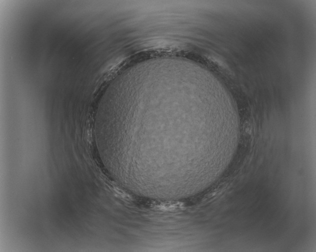 X0000063440869200602031739