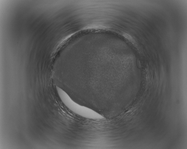 X0000063440872200602031739