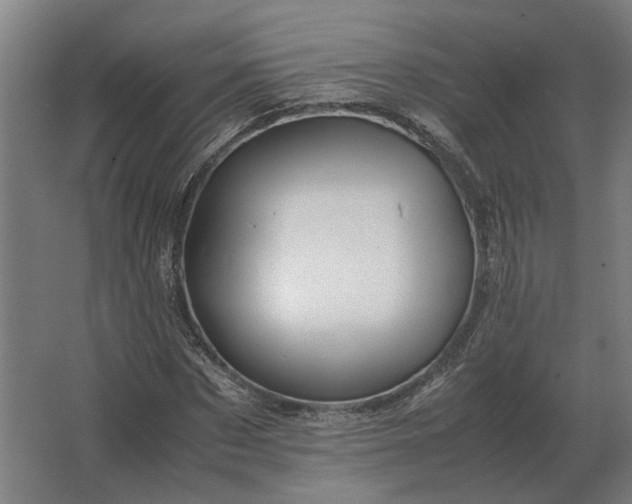X0000063440873200602031739