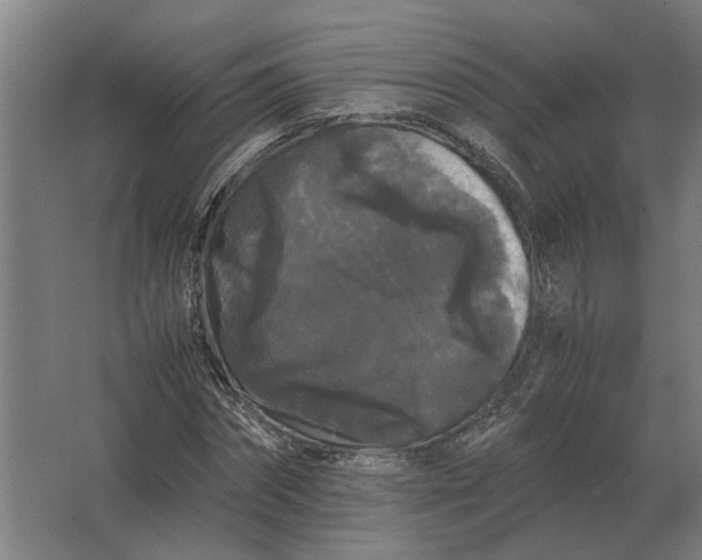 X0000063440874200602031739