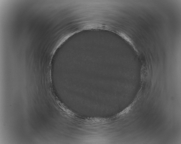 X0000063440877200602031739