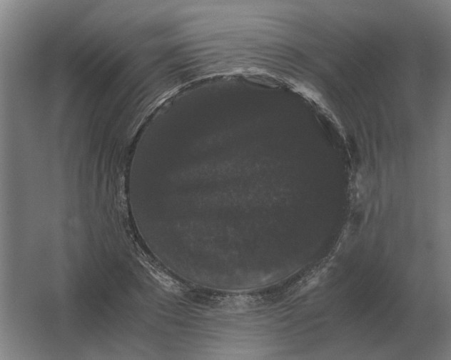 X0000063440881200602031738