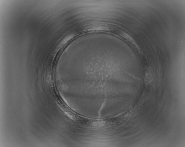 X0000063440882200602031738